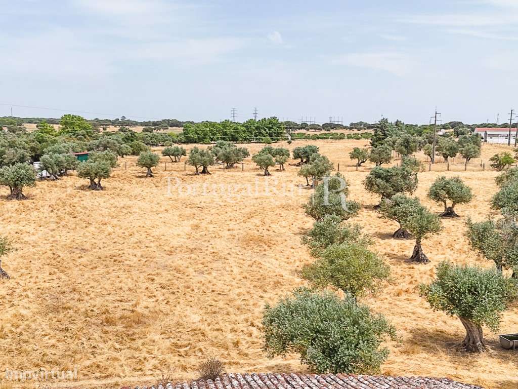 Encantadora quintinha alentejana-15