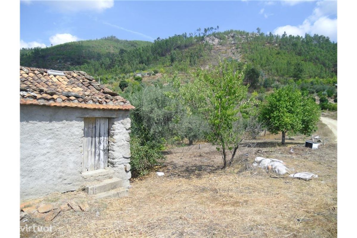 TERRENO AGRÍCOLA COM ÁREA DE 1600m² !!