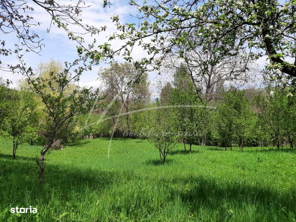 Teren intravilan 1740 mp. cu casa intabulata in PH-PROVITA DE SUS-2