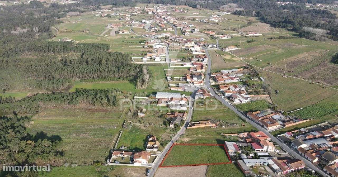 Terreno Rústico com 2.021 m² em Ouca – Vagos, Aveiro - Grande imagem: 4/4