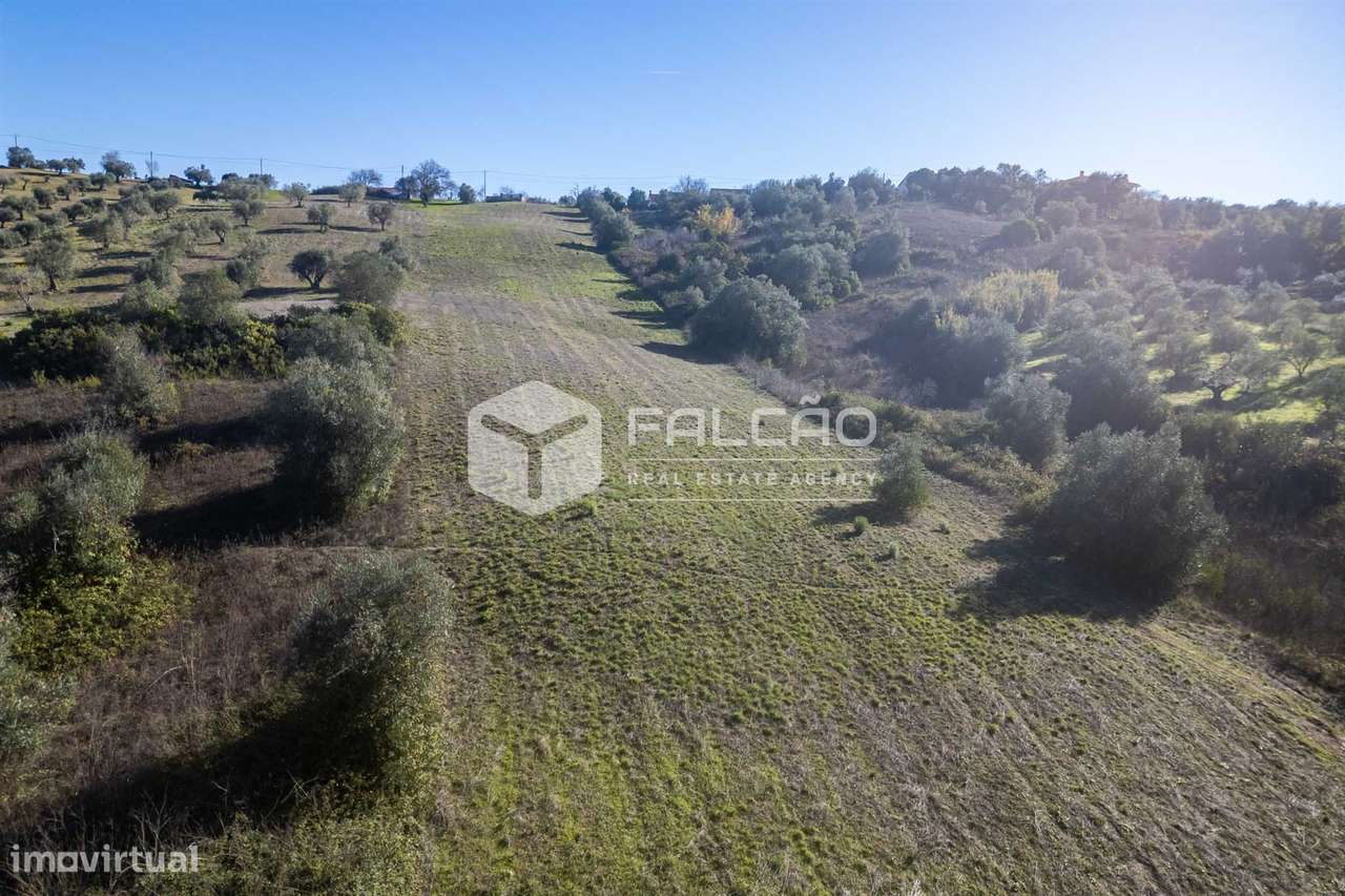 Terreno Para Construção  Venda em Moçarria,Santarém-6