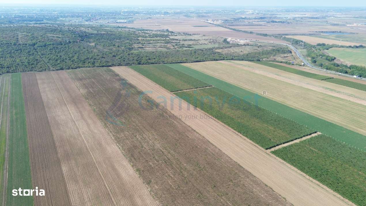 Teren intravilan de vanzare, langa Oradea, Bihor, Gaminvest, V4117-4