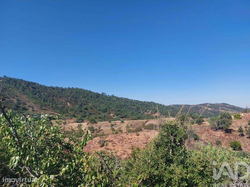 Terreno para construção em Querença, Tôr e Benafim - Grande imagem: 4/12