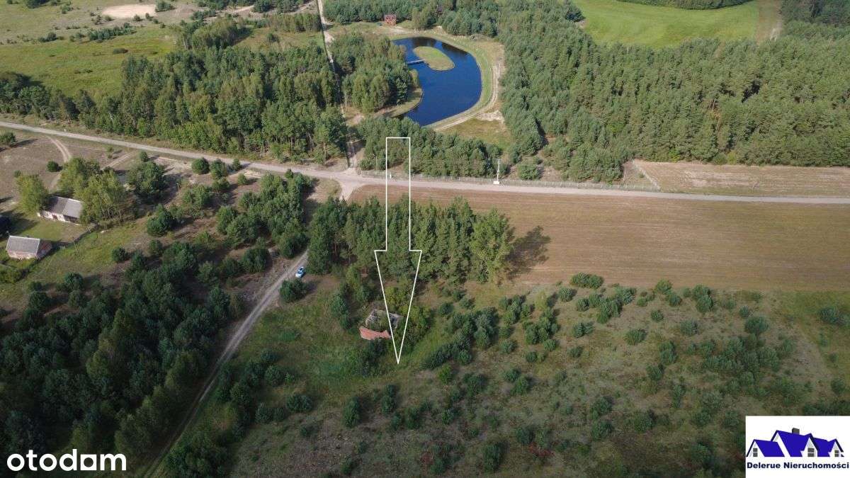 Siedlisko w sąsiedztwie lasu-6