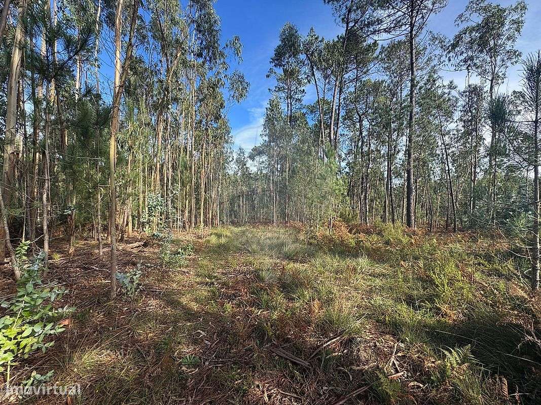 Terreno  para venda - Grande imagem: 4/18