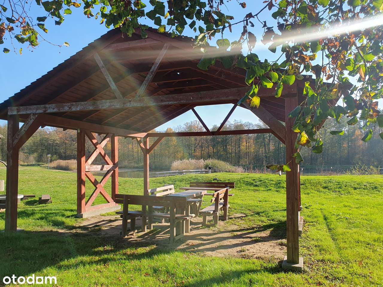 Osada Jagodowa, las, jezioro, cisza, spokój-2