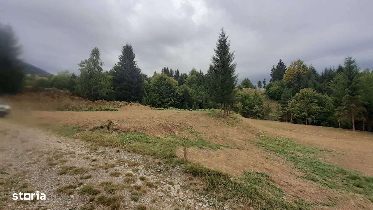Teren 15 ari Colibita partea stânga. - Imagine principală: 5/5