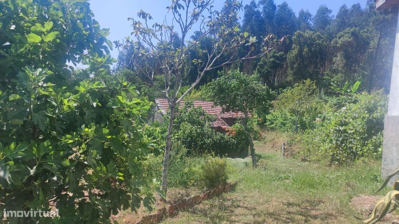 Casa/ Ruína em S. Miguel do Mato-22