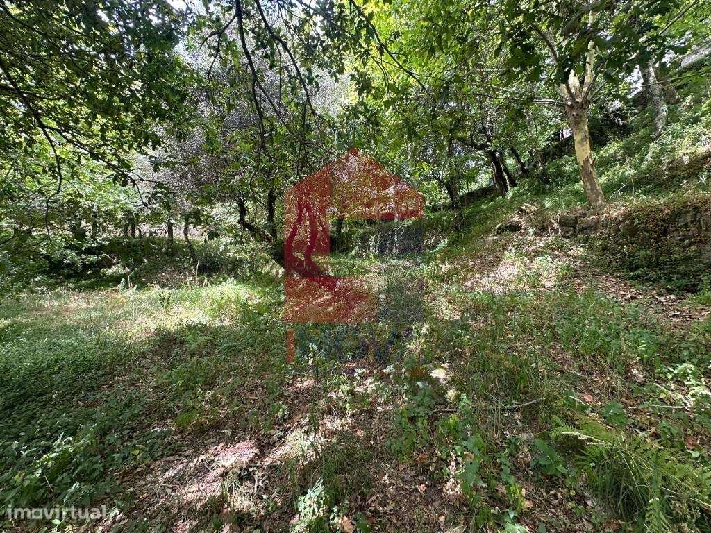 Terreno para construção, Valdosende - Grande imagem: 4/21