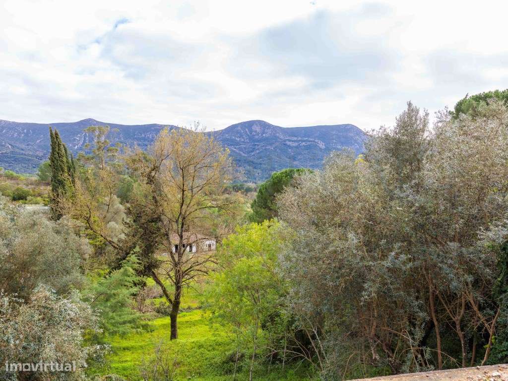 Quinta do Levante: Refúgio de Luxo com Projeto Aprovado no Coração ...-34