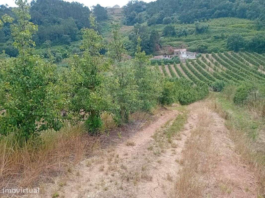 Terreno  para venda - Grande imagem: 4/10