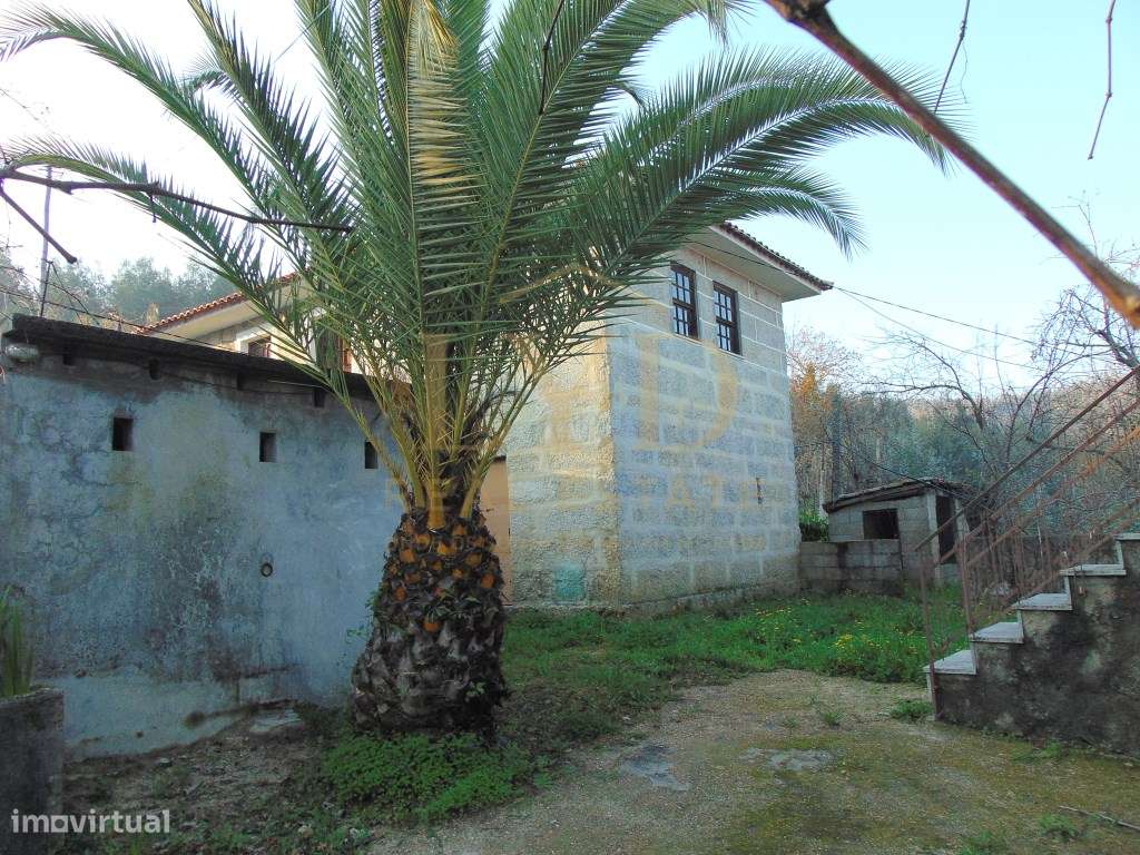 Quinta em Nogueira Paraíso Castelo de Paiva-20