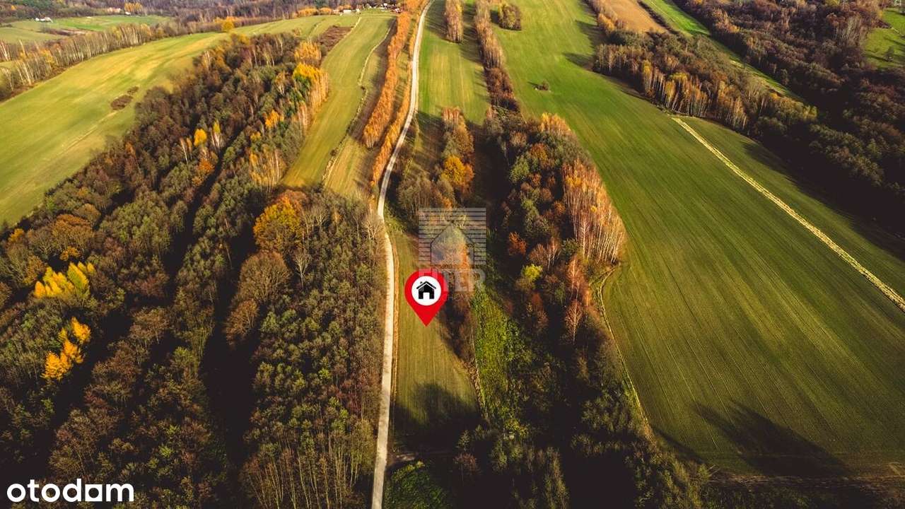 Działka zagrodowa | Zawada Uszewska - Pełny obrazek: 4/7