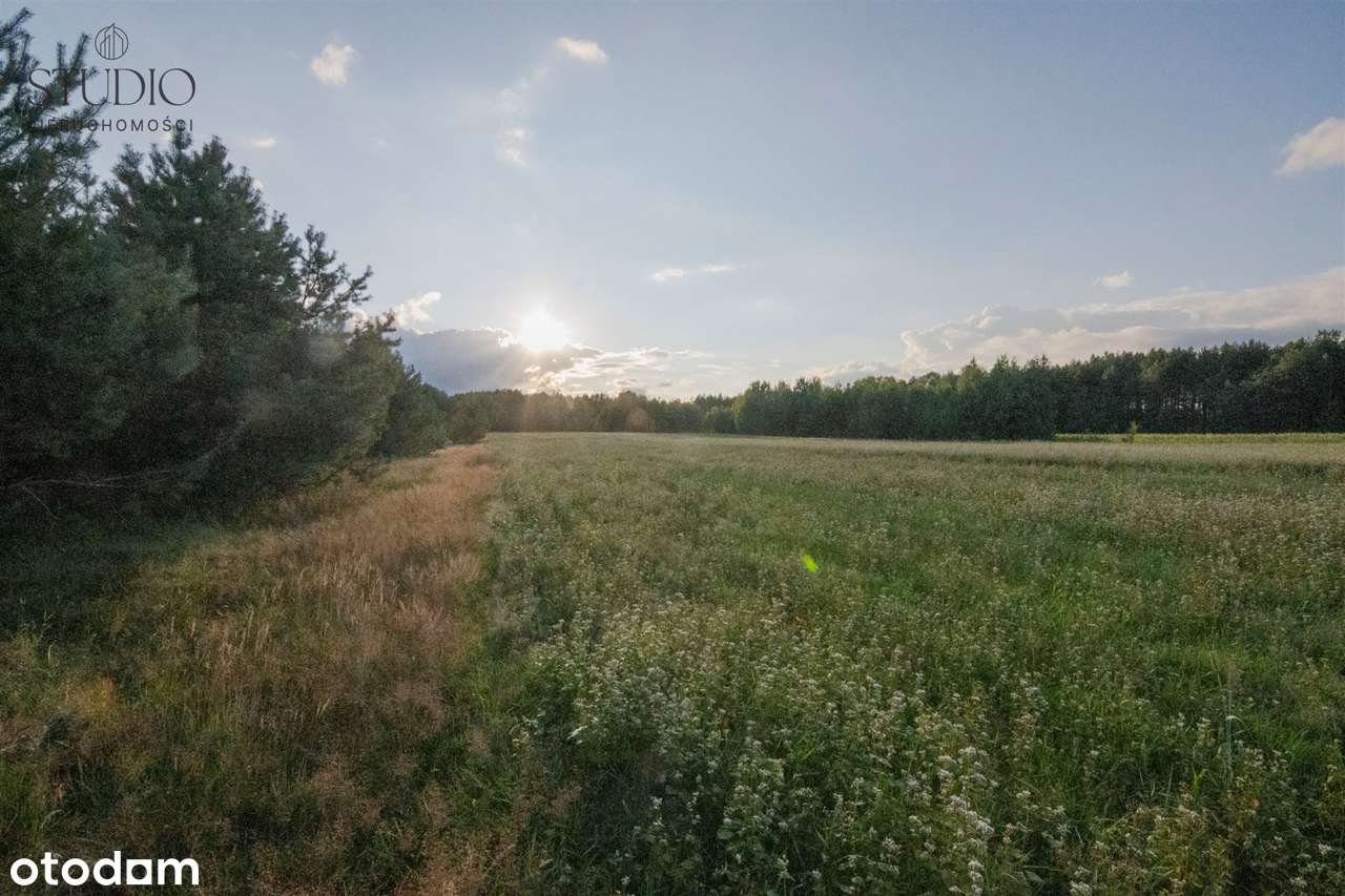 Działki siedliskowe gmina Turośń Kościelna - Pełny obrazek: 5/8