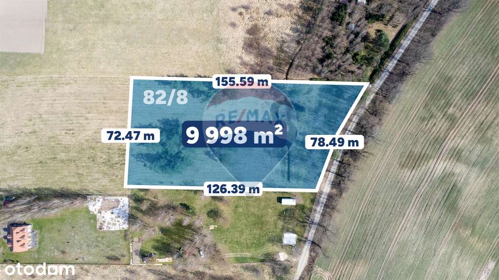 Działka inwestycyjna 9998 m² | Wyszebórz | Jeziora - Pełny obrazek: 5/18