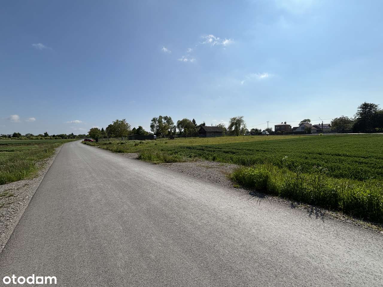 Działka 12 arów_Chorzelów_ przy granicy Mielca_asfaltowy dojazd! - Pełny obrazek: 4/6