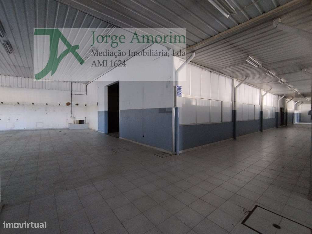 Armazém industrial com frente para a N14 - Grande imagem: 5/16