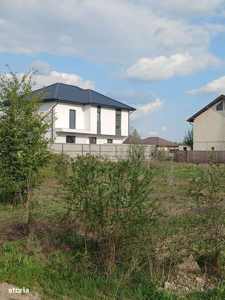 Teren Clincei - Olteni-6