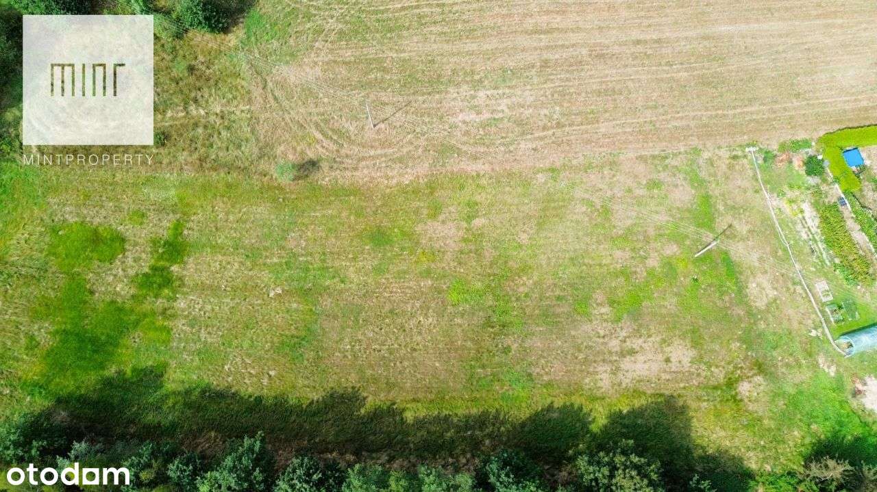 Działka na sprzedaż, Lipiny - Pełny obrazek: 5/7