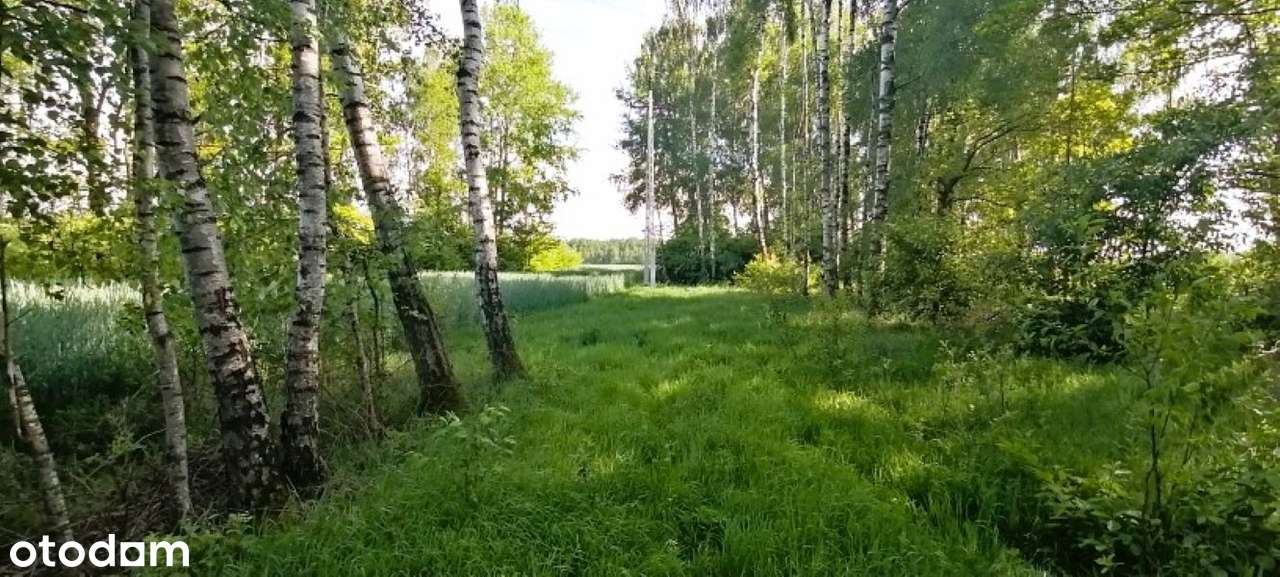 Działka gm. Drużbice, Józefów, 9032 m2, z potencjałem, atrakcyjna cena-5