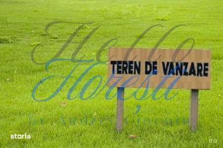 Teren extravilan 2.000 mp – Pasune – Zona Colonia de Sub Deal, Flo - Imagine principală: 3/3