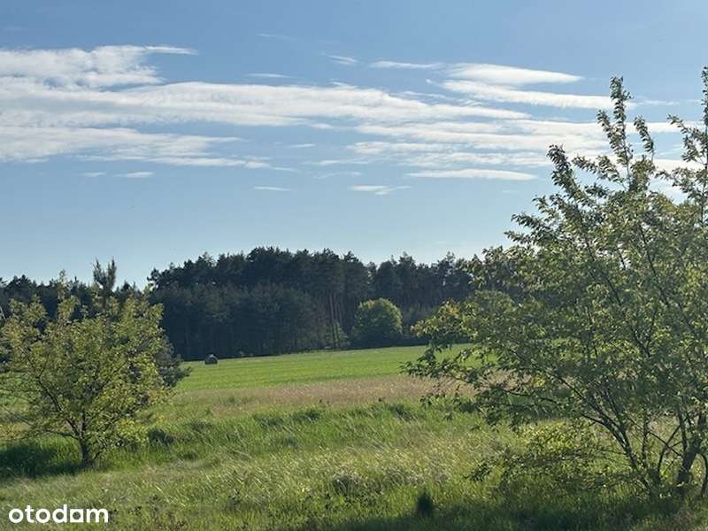 Działka pod inwestycje w pobliżu Kamiennogórskiej SSEMP!!! - Pełny obrazek: 5/11