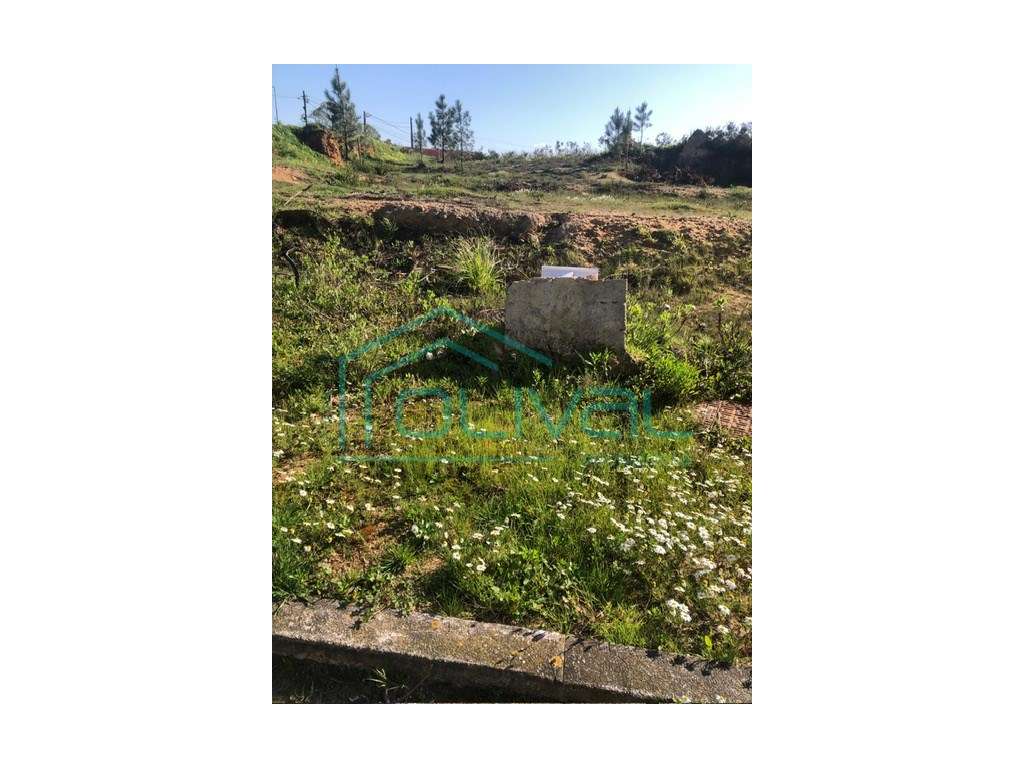Terreno à venda em Olhalvo vale das urzes - Grande imagem: 5/5