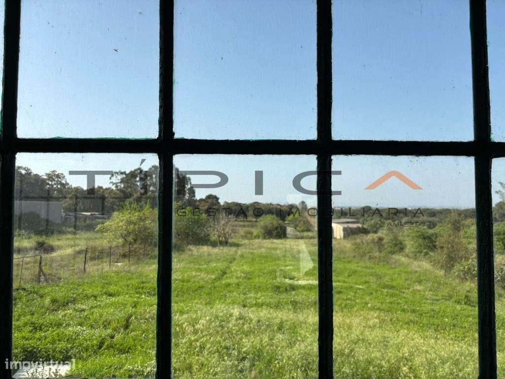 Quintinha com terreno agrícola de 2250 m2-12