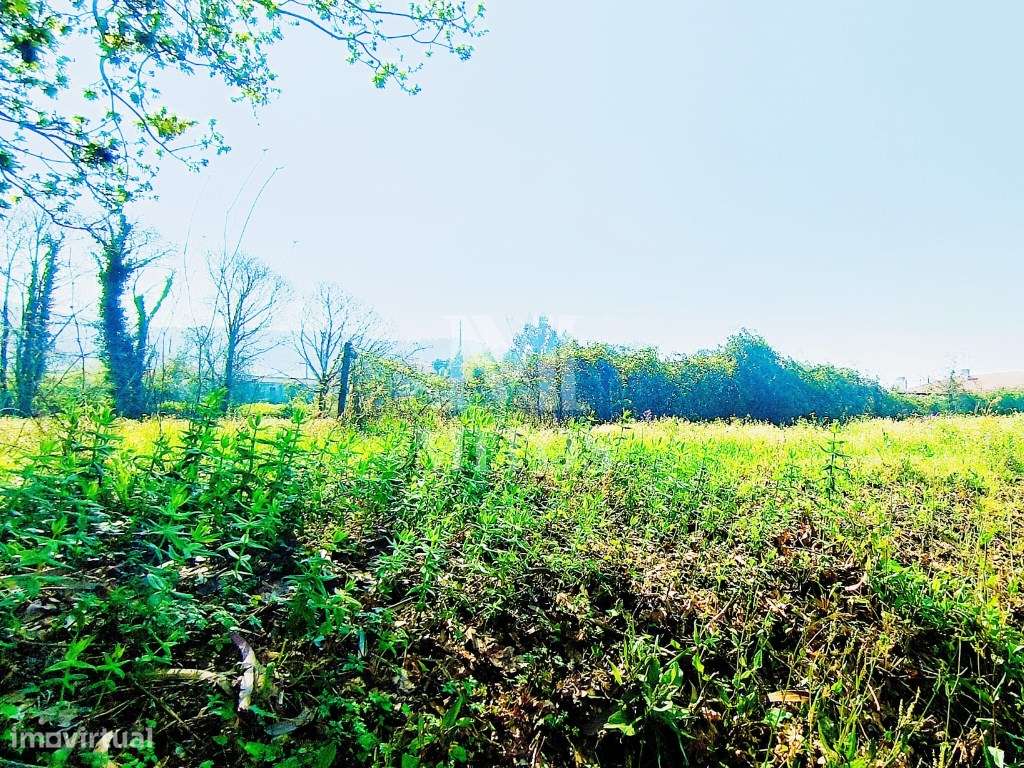 Terreno rústico para venda em Tregosa - Barcelos - Grande imagem: 5/9