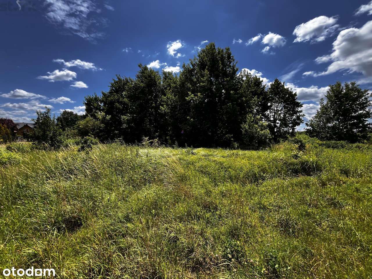 Działka Jaktorów 1720 m2 z warunkami zabudowy-6