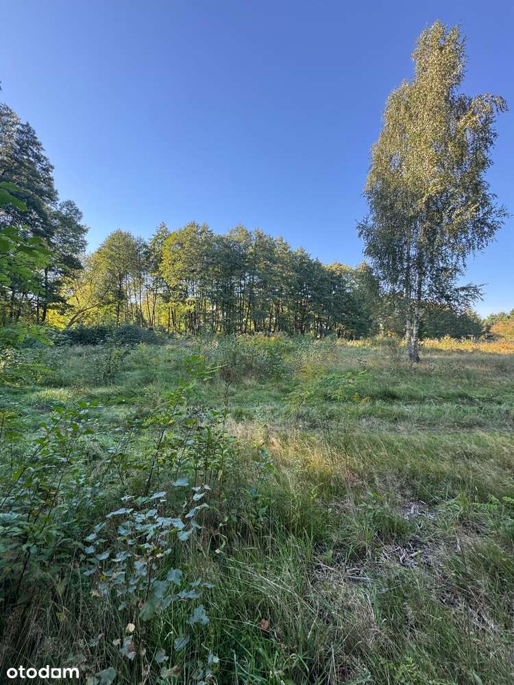 Piękna działka budowlana. Adamów Wieś. Radziejowice-1