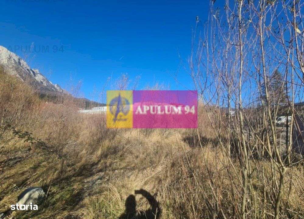 Teren intravilan de vânzare în Bușteni - Zona centrala - Imagine principală: 1/19