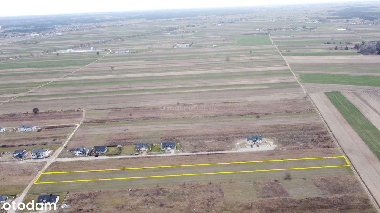 Działka, 7 387 m², Rybienko Stare - Pełny obrazek: 4/6