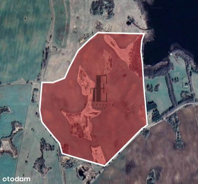 Mazury działka siedl.  24,24ha - jezioro Zawadzkie - Pełny obrazek: 4/7