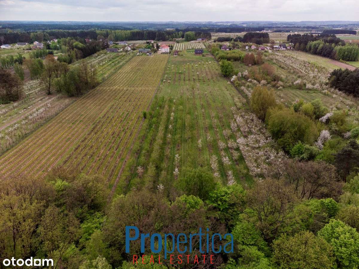 *Działka Kocerany - 4,72 ha - Blisko S7 **-7