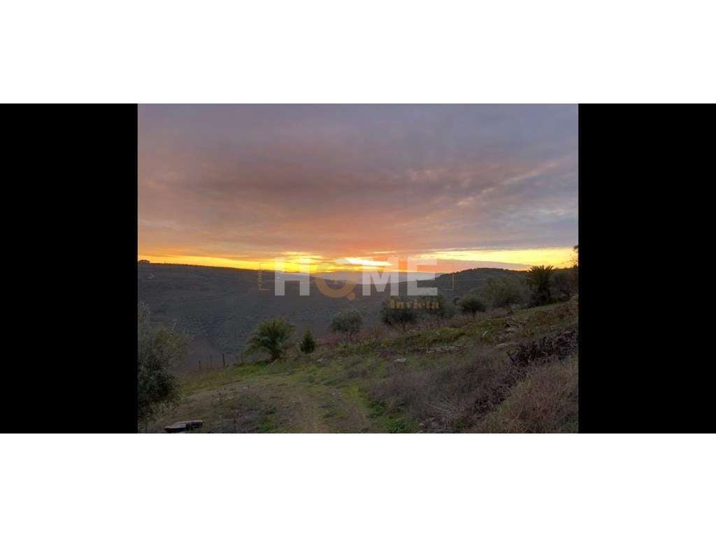 Terreno rústico com 18.554 m2 - São João da Pesqueira - 200m dos fa...-11