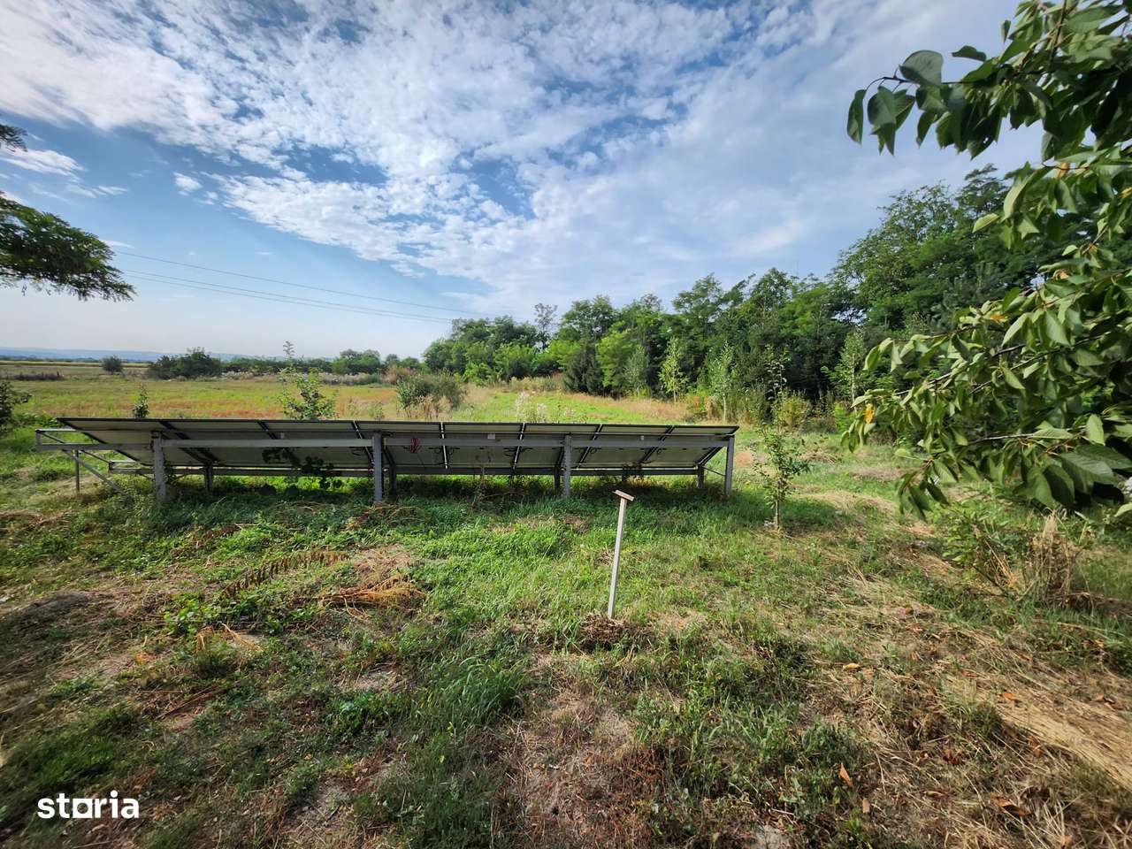 Casa cu teren de 12000 mp in Brad com Beresti Bistrita - Imagine principală: 5/9