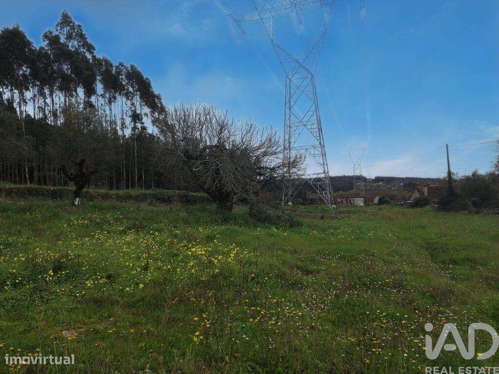 Casa T2 em Aljubarrota de 64,00 m2 - Grande imagem: 5/15