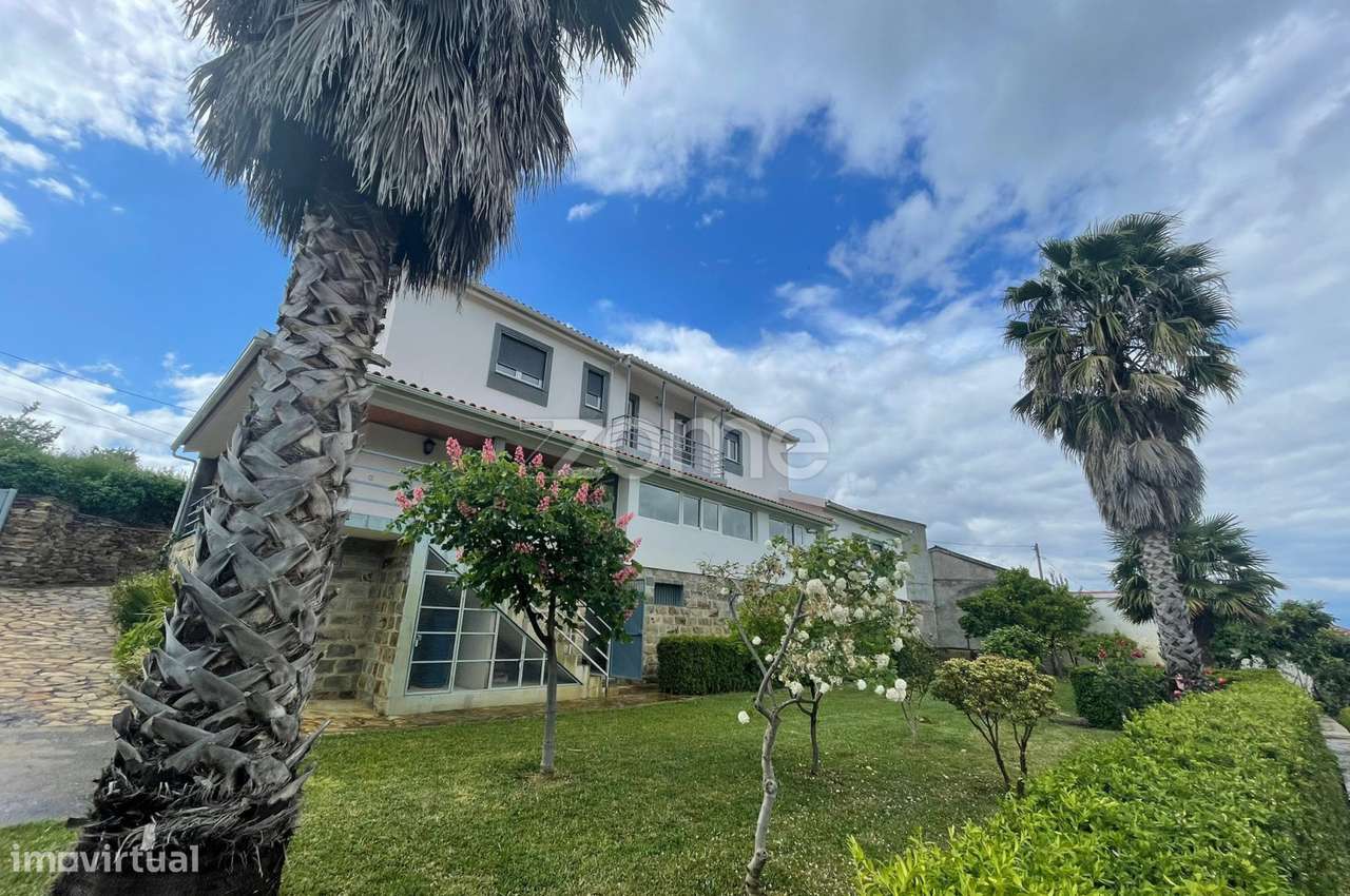 Quinta com Moradia V3 de 2 Pisos, Garagem e Olival – São Pedro, Vei... - Grande imagem: 4/30