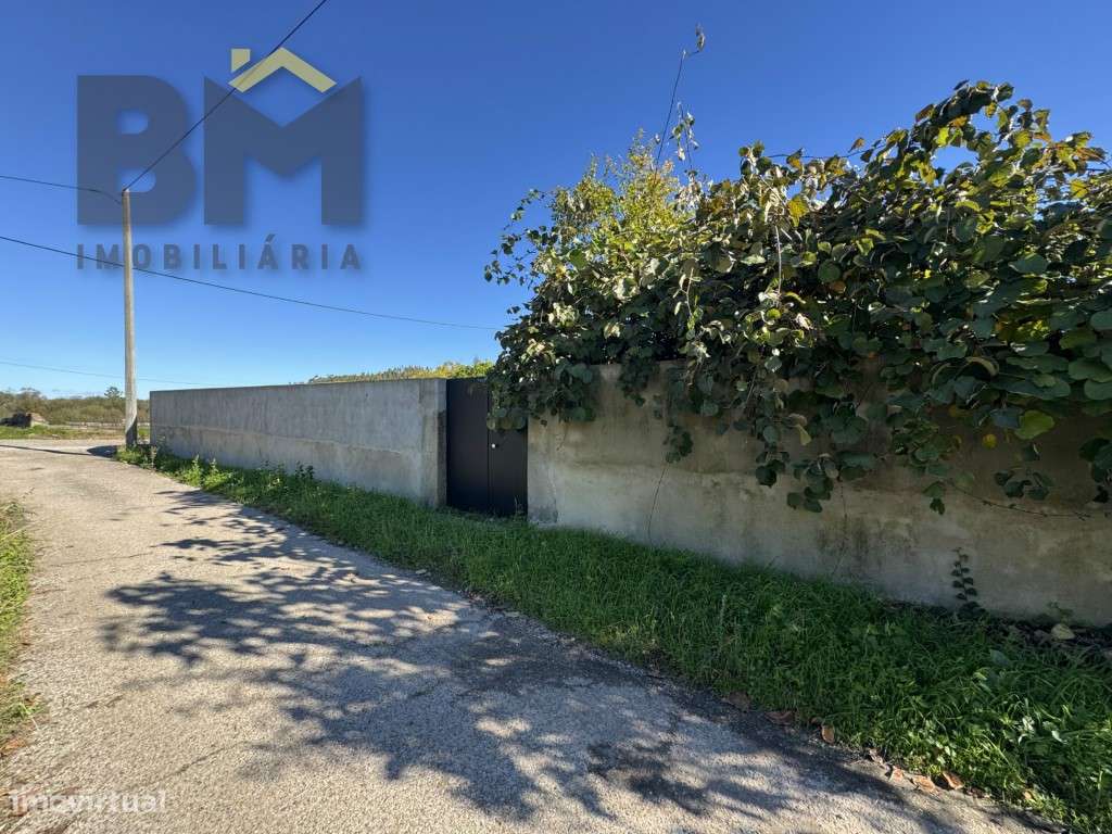 Terreno Rústico com Viabilidade de Construção - Monte Novo, Margem,... - Grande imagem: 5/19