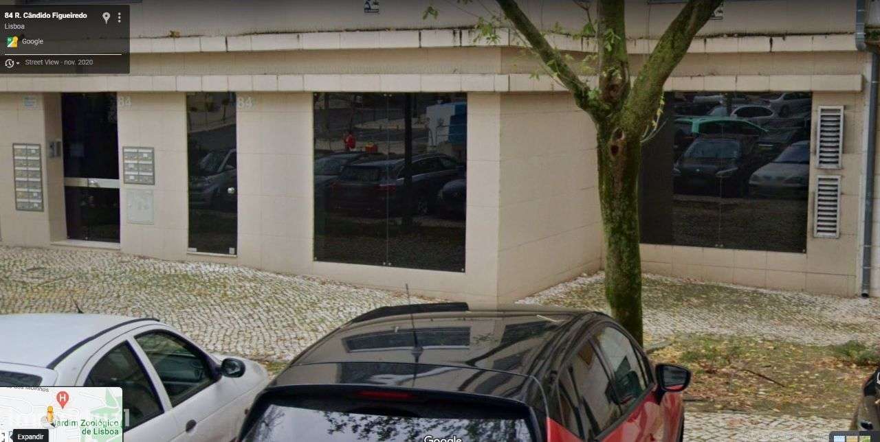Loja/Escritório 2 grandes montras. Junto ao Hosp. Cruz Vermelha - Grande imagem: 2/13