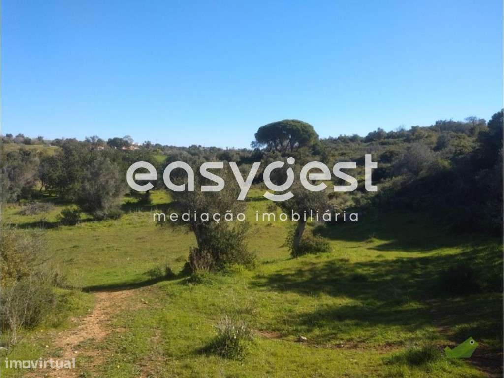 Terreno Rústico em Pego - Grande imagem: 5/6