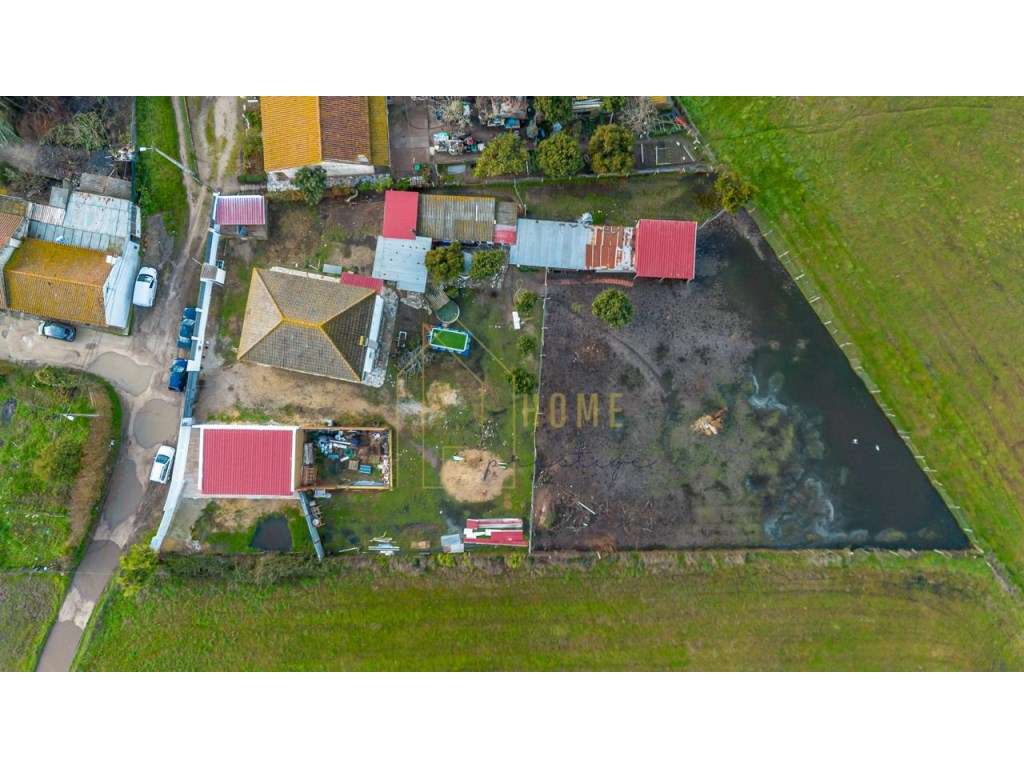 Excelente Quinta Bi familiar ou de Investimento-45