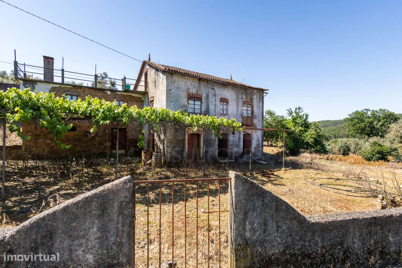 PROPRIEDADE DE CARÁTER NA N2 | 400 m² DE CONSTRUÇÃO, OLIVAL E POTEN...-26