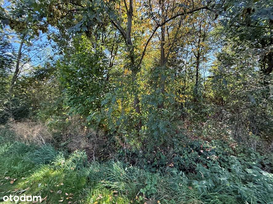 Działka w Przydrożu Wielkim-3