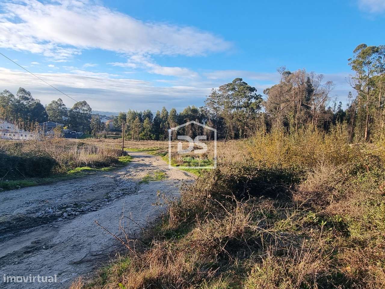 Terreno  Venda em Duas Igrejas,Penafiel-7