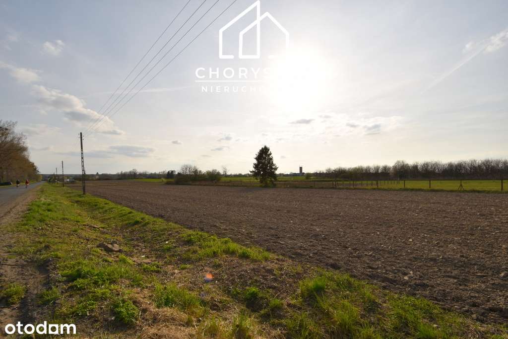 Działka budowlana w Bierutowie -możliwość podziału-16