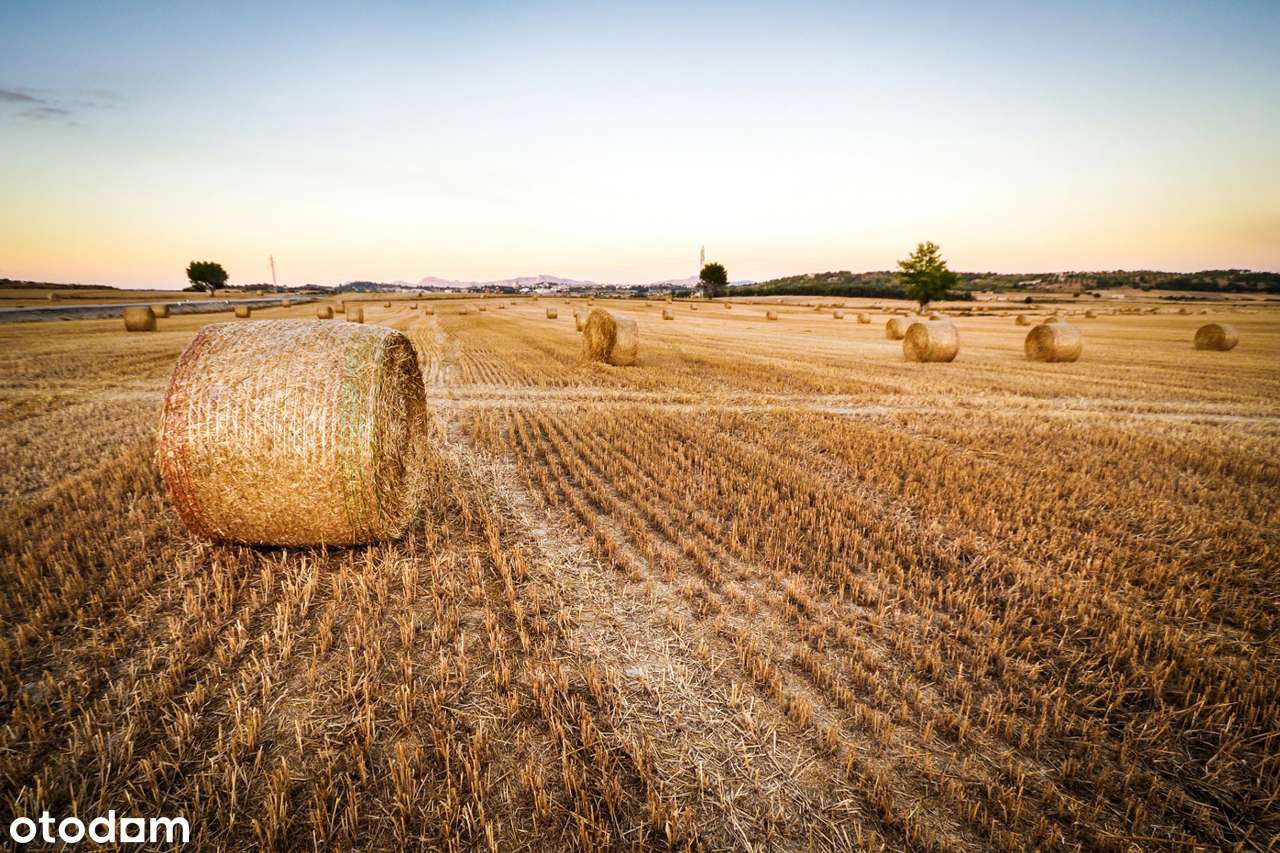 Działka rolna w Jenkowicach