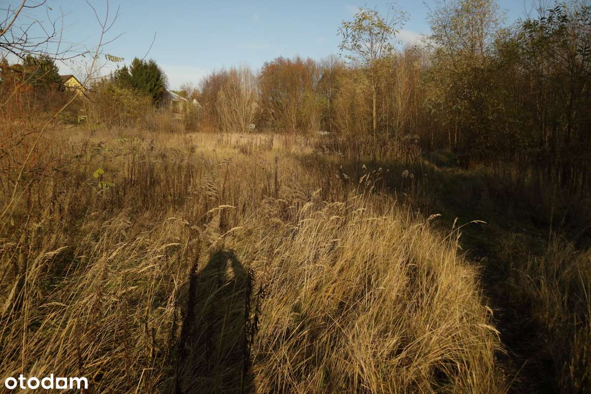 Czerwonak 1,5 ha działka siedliskowa - okazja-2