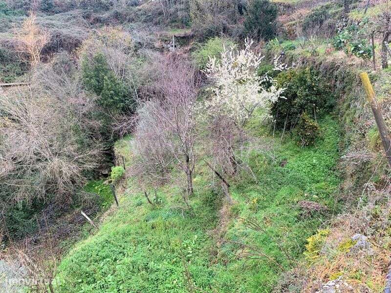 Terreno / Baião, Teixeira e Teixeiró - Grande imagem: 5/10